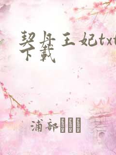 契丹王妃txt下载