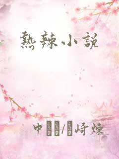 热辣小说