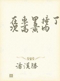 在车里撞了我八次高黄肉