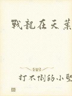 战龙在天叶凡