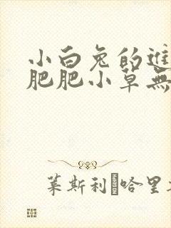 小白兔的进化史肥肥小草无防盗