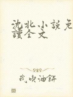 沈北小说免费阅读全文