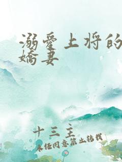 溺爱上将的宝贝娇妻