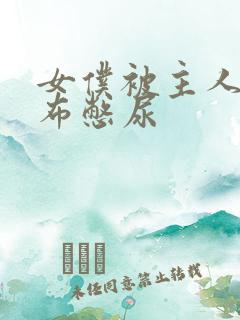 女仆被主人用胶布憋尿