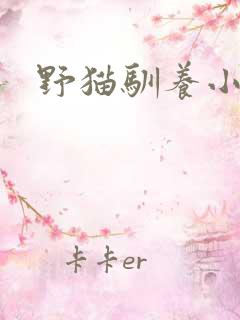 野猫驯养小说