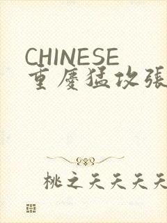 CHINESE重庆猛攻张先生