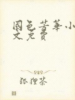 国色芳华小说全文免费