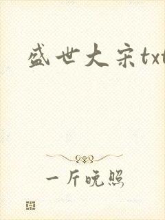 盛世大宋txt