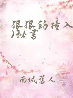 狠狠的撞入(h)秘书