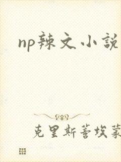 np辣文小说