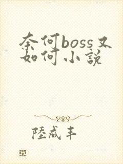 奈何boss又如何小说