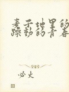 麦子地里的故事躁动的青春小说