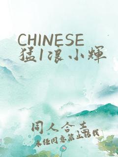 CHINESE猛1浪小辉