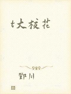 t大校花