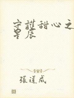 守护甜心之暗夜星辰