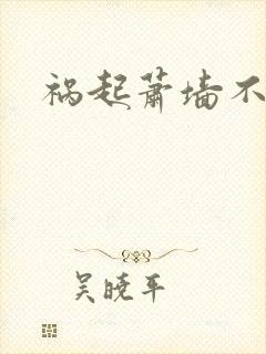 祸起萧墙不知戢