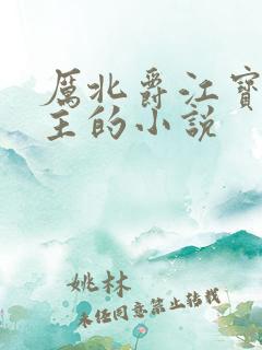 厉北爵江宝宝男主的小说