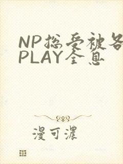 NP总受被各种PLAY全息