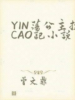 YIN荡公主挨CAO记小说