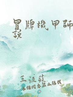 冒牌机甲师 小说