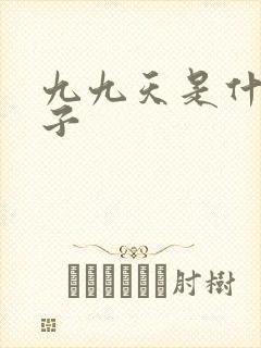 九九天是什么日子