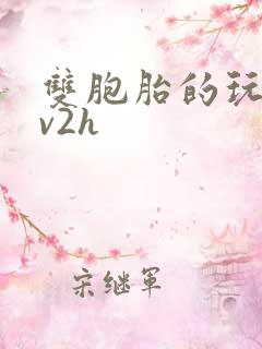 双胞胎的玩具1v2h