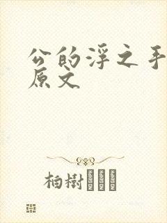 公的浮之手中字原文