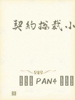 契约总裁小萌宝