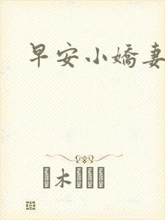 早安小娇妻