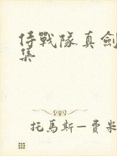 侍战队真剑者全集