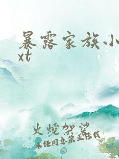 暴露家族小说txt