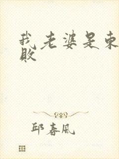 我老婆是东方不败