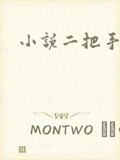 小说二把手