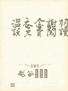 温衣念谢羽渊小说免费阅读