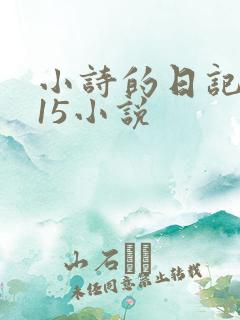 小诗的日记1一15小说