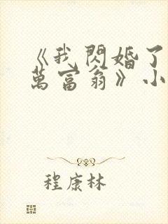 《我闪婚了个亿万富翁》小说