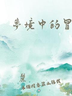 梦境中的冒险家