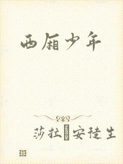 西厢少年
