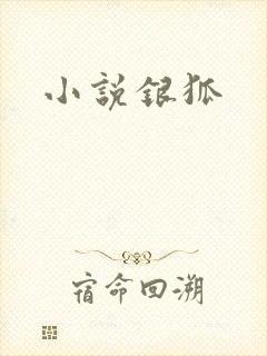 小说银狐