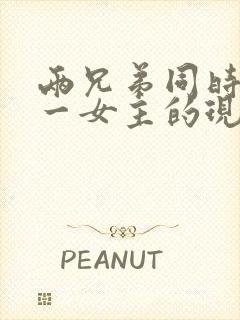 两兄弟同时拥有一女主的现言