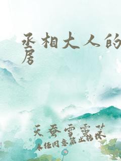 丞相大人的小通房