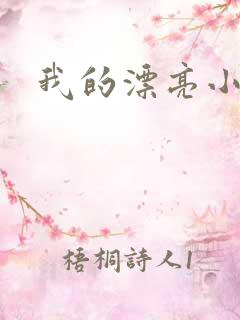 我的漂亮小后妈