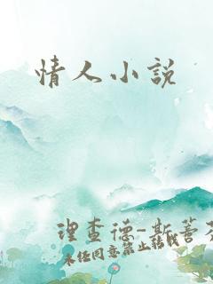 情人小说
