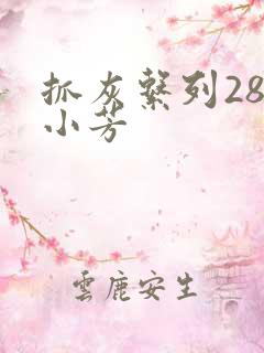 抓灰系列28篇小芳