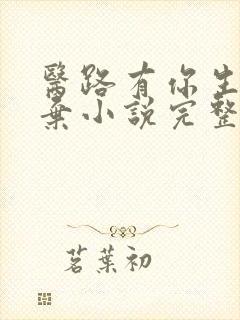 医路有你生死不弃小说完整版