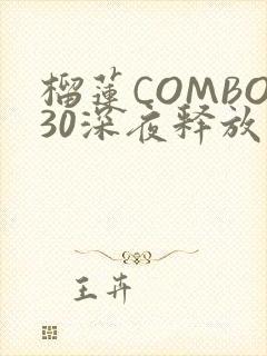 榴莲COMBO30深夜释放自己