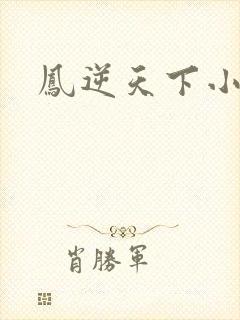 凤逆天下小说