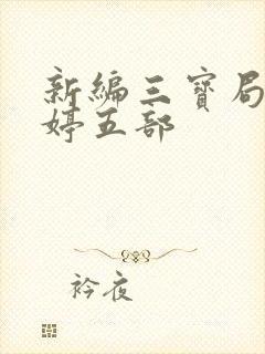 新编三宝局长许婷五部
