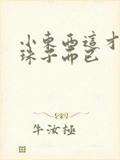 小东西这才一颗珠子而已