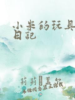 小米的玩具羞辱日记